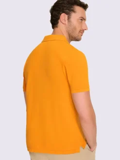 T-shirt à manches courtes qualité piqué